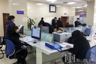 黑龍江優(yōu)化發(fā)展環(huán)境，職業(yè)中介服務釋放發(fā)展活力